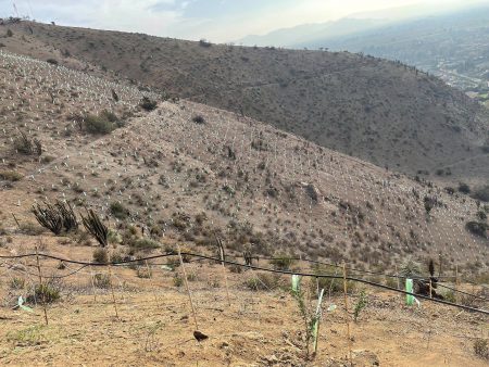 AES Andes y Cajón del Maipo: ¿llegó la hora de revisar el convenio?